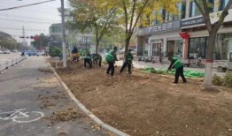 巨鹿爆料最新消息今天